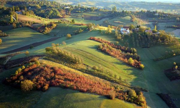 Remington Real Estate